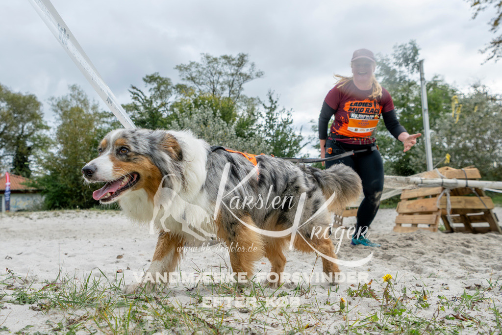 1533_ZZ95708 | kk-dogfotos