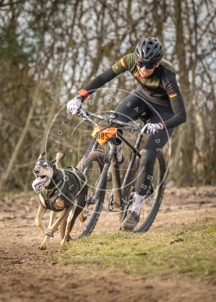 Pfotenfotografie_DV3A7580 | Hundefotografie, Tierfotograf, Pfotenfotografie, Fotoshooting Hund, Hunde Portrait, Hundesport, Hundeportraits, Heideshooting, Hunde, Sportfotograf, Hundefotograf, Turnierhundsport, THS,  - Realisiert mit Pictrs.com