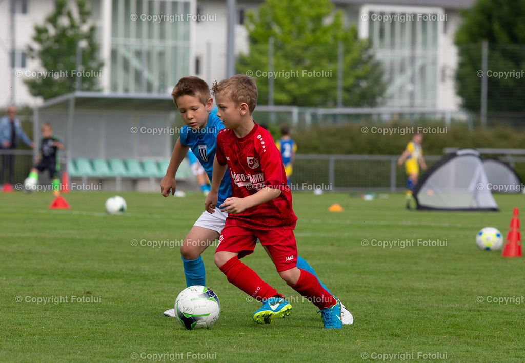A_LUI_11062022_08 | bilder, linz, photo, foto, fussball, sport, fotolui, bundesliga