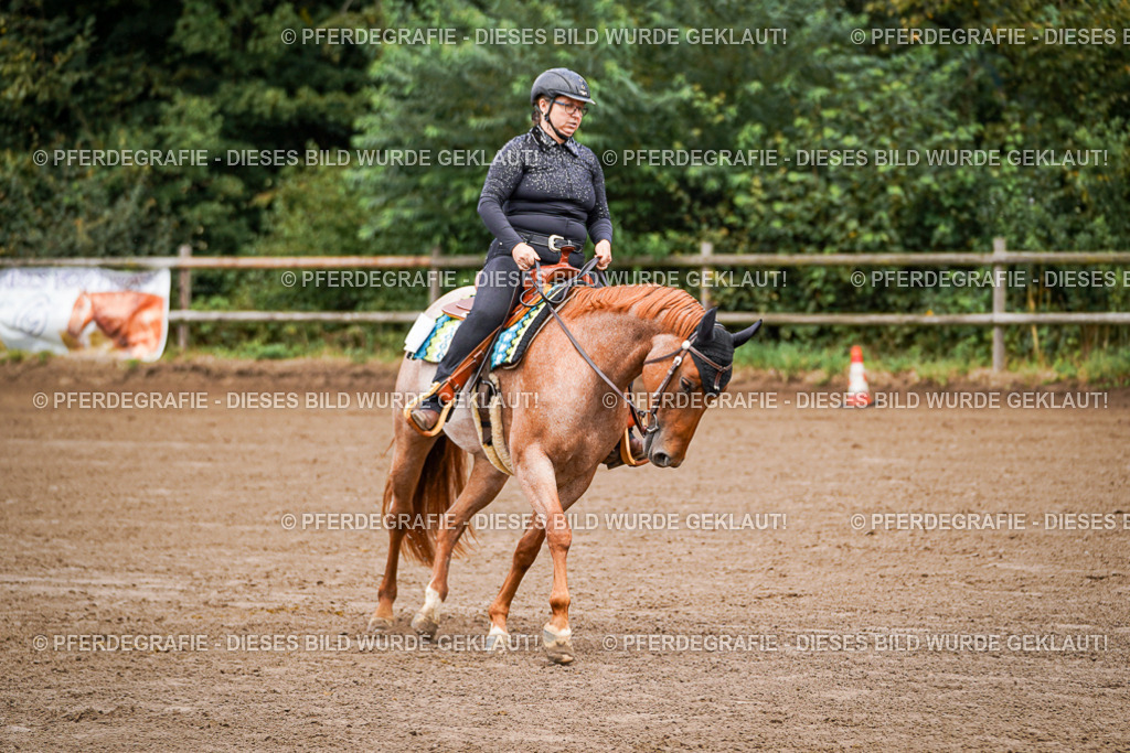 DSC05650 | Pferdegrafie