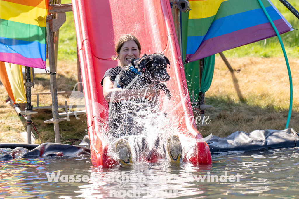1220_ZZ91635 | kk-dogfotos