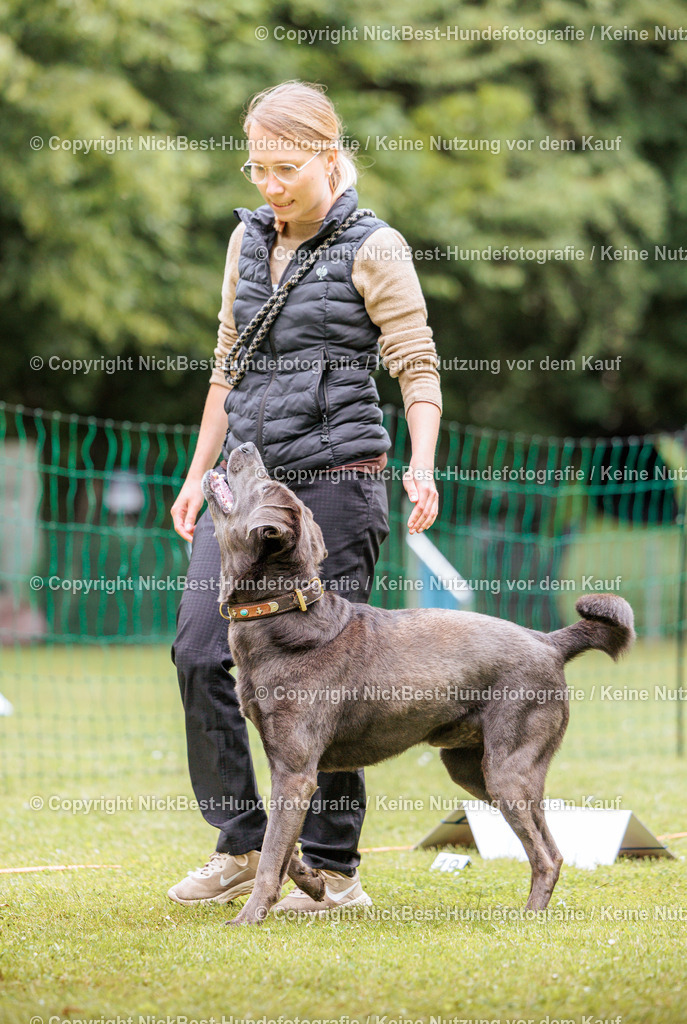 RO-Blumenthal-2026-Nickbest-Hundefotografie-3034 | Dein Hund! Dein Moment! Deine Erinnerungen! Hundefotografie in Bremen Blumenthal. Ich fange die besonderen Momente deines Vierbeiners ein – ob Indoor mit Blitzanlage oder in der freien Natur. Sicher dir dein Moment und dein Termin für eure Erinnerungen.