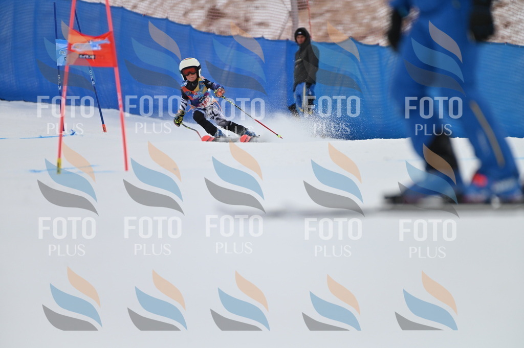 BGV_1695 | holidayphoto