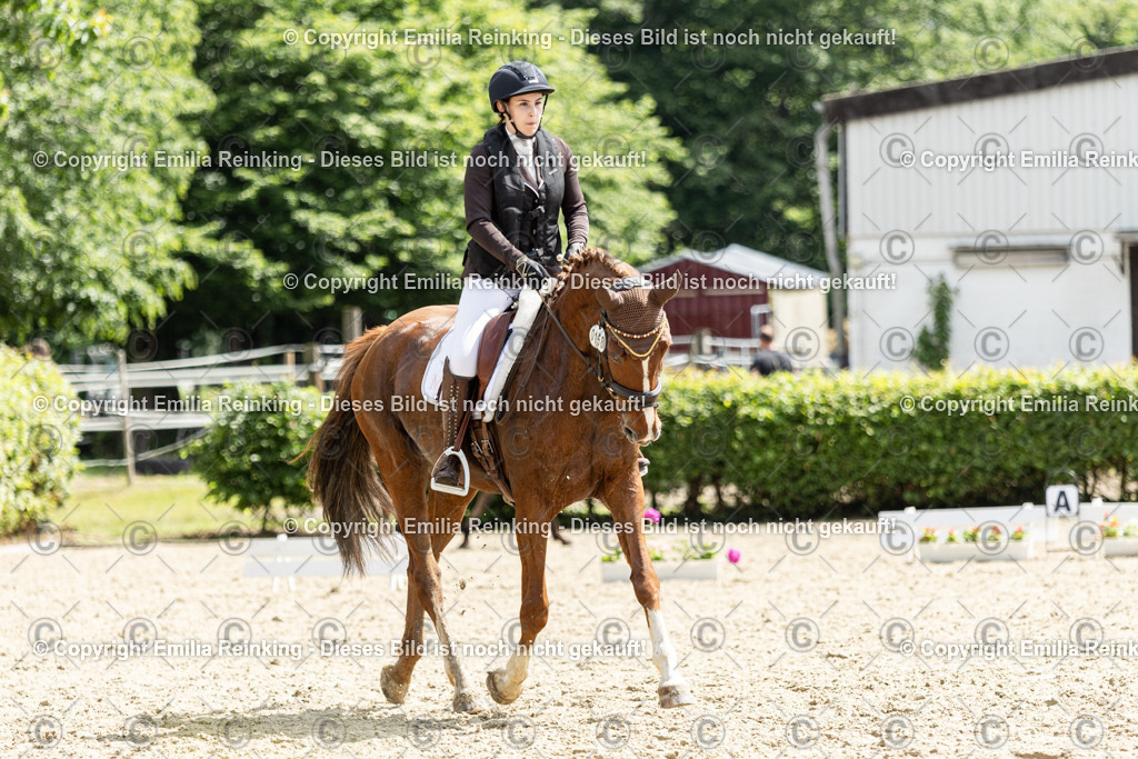 CL5A7977 | Emilia Reinking Fotografie - Realisiert mit Pictrs.com