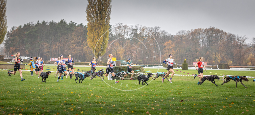 CaniXpix_DV3A8736 | Hundefotografie, Tierfotograf, Pfotenfotografie, Fotoshooting Hund, Hunde Portrait, Hundesport, Hundeportraits, Heideshooting, Hunde, Sportfotograf, Hundefotograf, Turnierhundsport, THS,  - Realisiert mit Pictrs.com