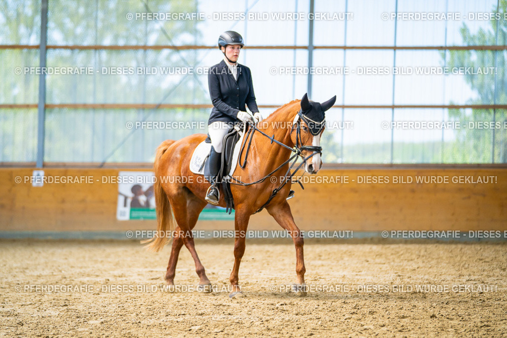 DSC08499 | Pferdegrafie