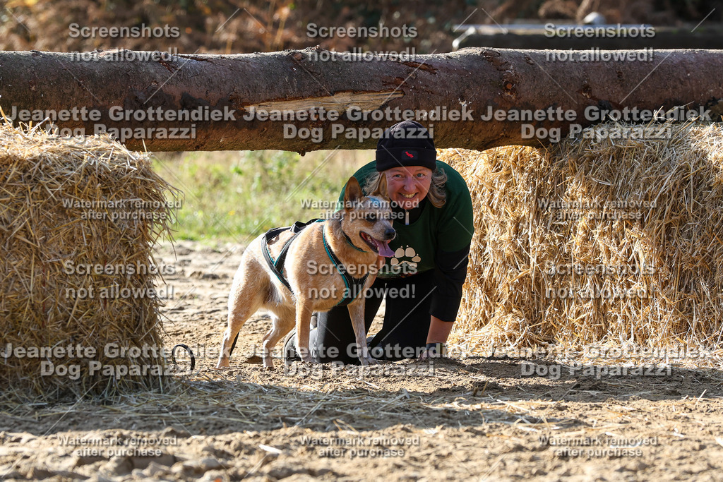 Dog Paparazzi - Strongdog 10-25-5992 | Dog Paparazzi Jeanette Grottendiek Fotografie & Videografie - Realisiert mit Pictrs.com