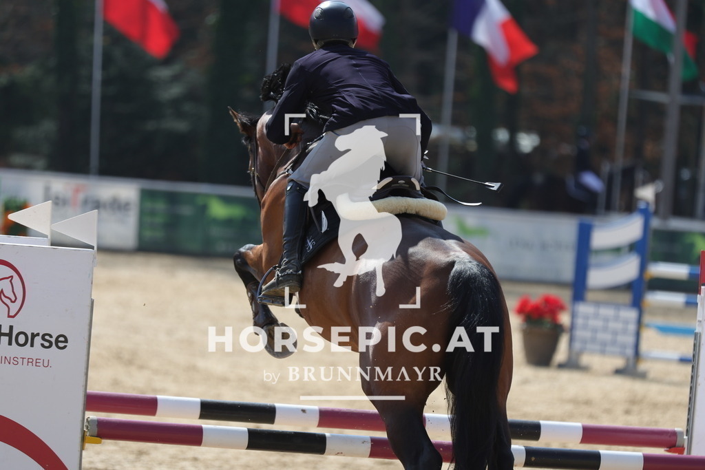 0P6A0399 | Willkommen bei Brunnmayr - Design & Fotografie – Ihrem Spezialisten für Reitturniere und Pferdeveranstaltungen in Oberösterreich, Salzburg und Bayern! Seit über 17 Jahren sind wir leidenschaftlich dabei.