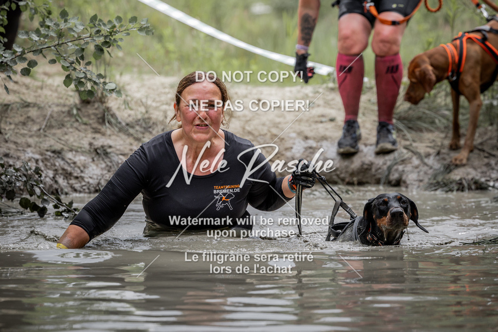 nelerasche_so1330-1400_498 | nelerasche