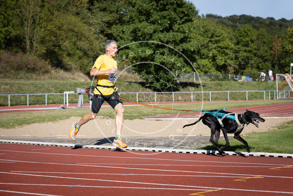 Pfotenfotografie_DV3A9917 | Hundefotografie, Tierfotograf, Pfotenfotografie, Fotoshooting Hund, Hunde Portrait, Hundesport, Hundeportraits, Heideshooting, Hunde, Sportfotograf, Hundefotograf, Turnierhundsport, THS,  - Realisiert mit Pictrs.com