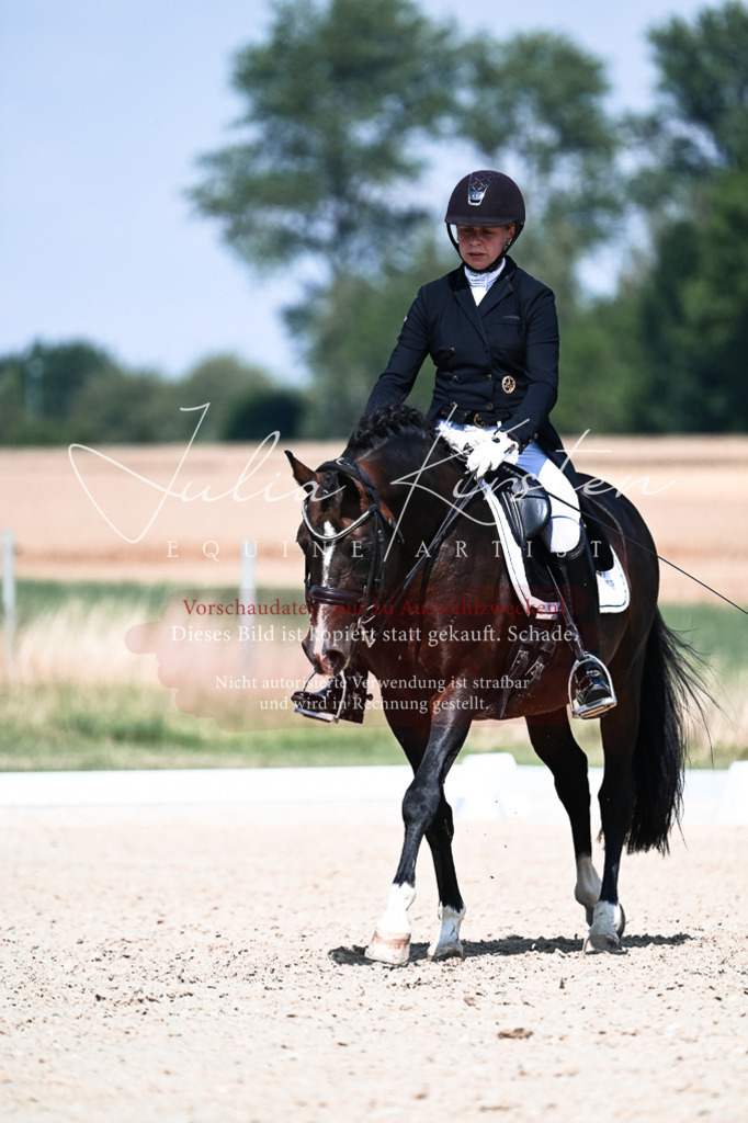 DSC_2942 | Pferde- und Turnierfotografie in Westsachsen. Pferdeportraits, Auftragszeichnungen und intuitive Kunst.