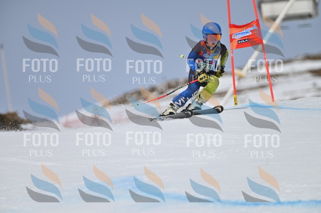 BGV_5449 | holidayphoto