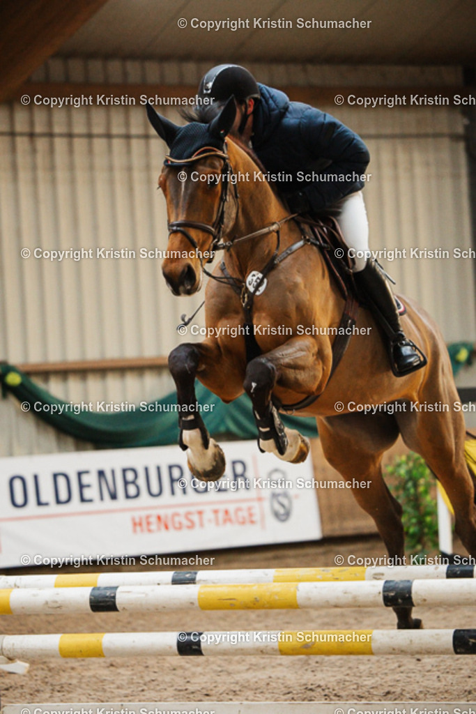 Springpferde A_-6 | Kristin Schumacher Photography