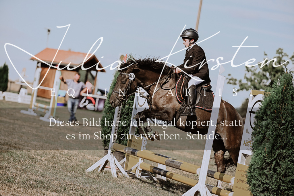DSC_9479 | Pferde- und Turnierfotografie in Westsachsen. Pferdeportraits, Auftragszeichnungen und intuitive Kunst.