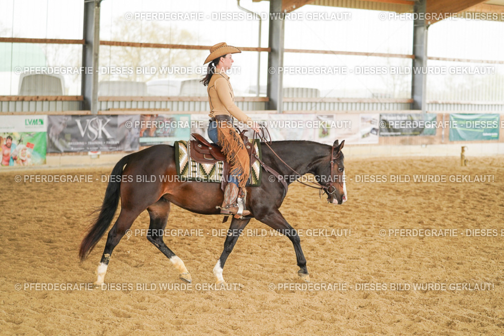 DSC05795 | Pferdegrafie