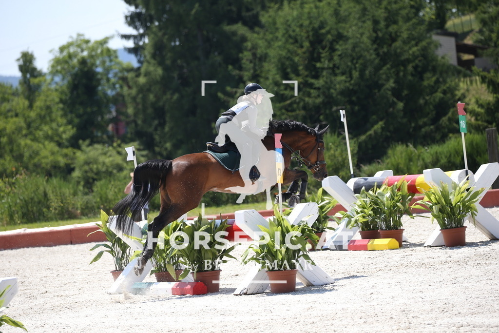 DL2Q1197 | Willkommen bei Brunnmayr - Design & Fotografie – Ihrem Spezialisten für Reitturniere und Pferdeveranstaltungen in Oberösterreich, Salzburg und Bayern! Seit über 17 Jahren sind wir leidenschaftlich dabei.