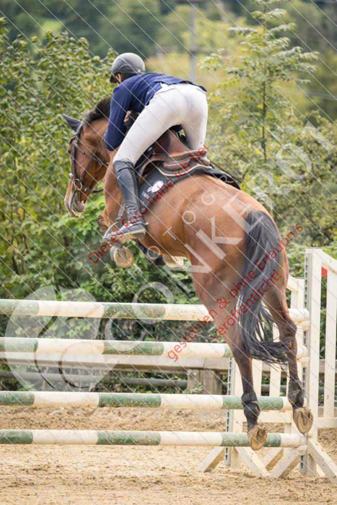 CON_6542 | Sport-, Event- und Tierfotos in Profiqualität. Einfach auswählen, bestellen und herunterladen. Dein Moment – perfekt festgehalten.