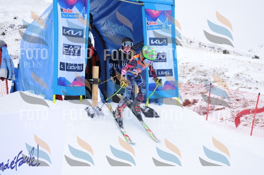 DSC_8877 | holidayphoto