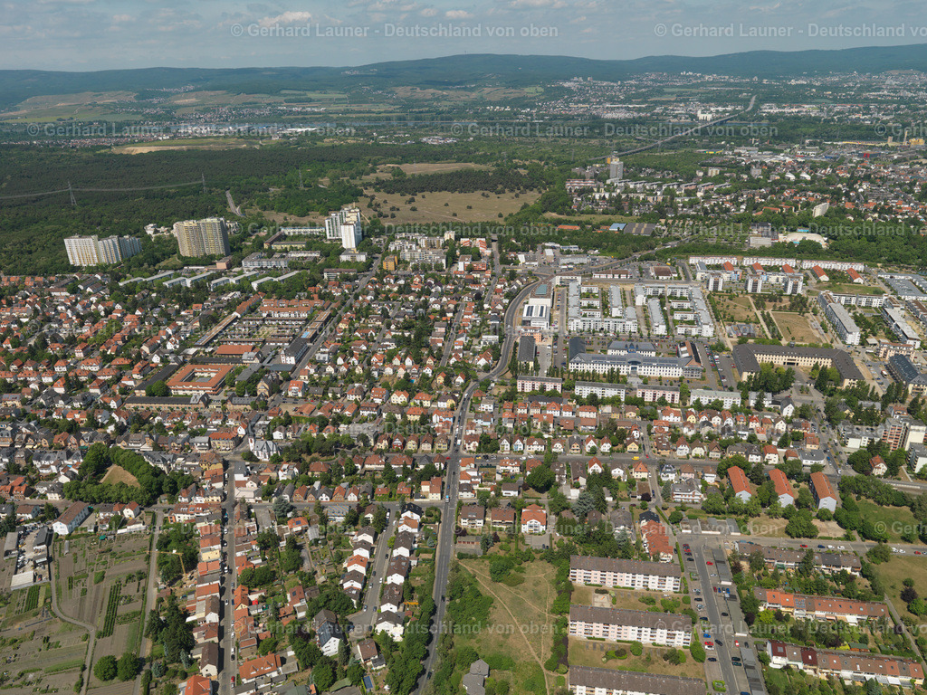 3108036 | Gonsenheim, Mainz