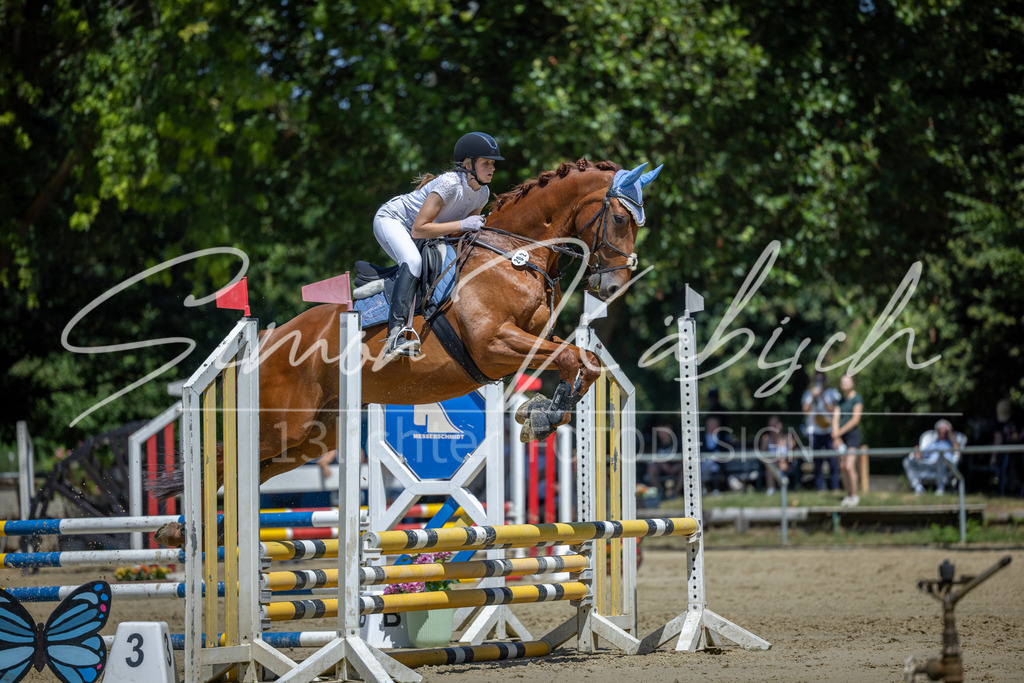 20260704-_3LI8319 | Tierfotografie Pferde, Hunde, Katzen, Haustiere.
Turnierfotografie Reitturniere, Reiten, Springreiten, Dressur in Hanau, dem Main-Kinzig-Kreis und dem Rhein-Main- Gebiet um Frankfurt