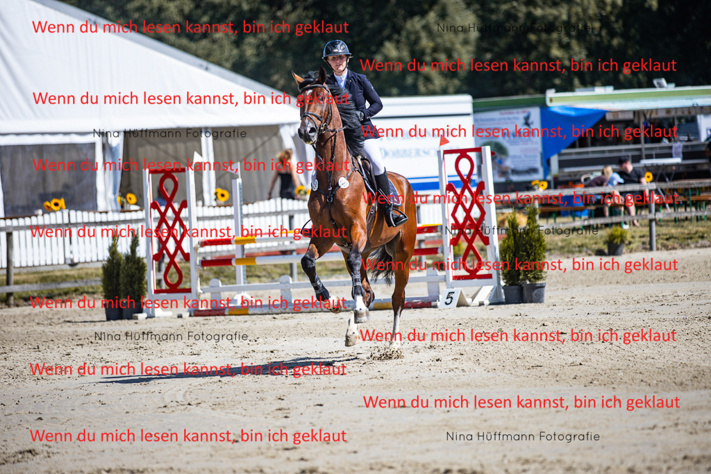 BK1A5373 | Turnierbilder Turnierfotos Nina Hüffmann Turnierfotografie Pferdefotografie Tierzeichnung Haustierzeichnung Pferdezeichnung Hundezeichnung Videograf  - Realisiert mit Pictrs.com