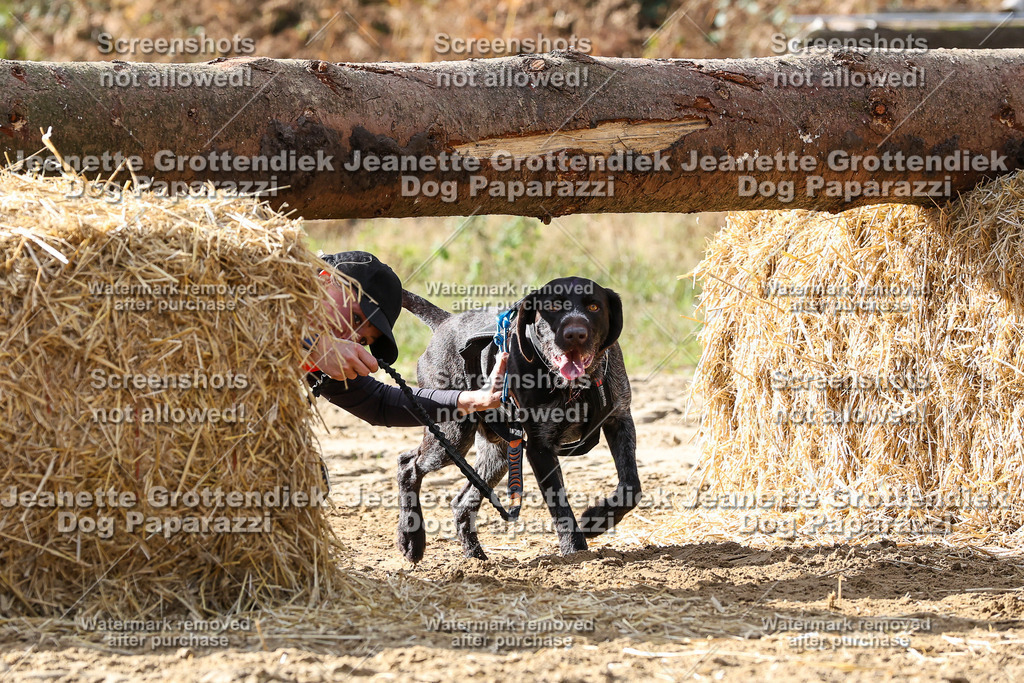 Dog Paparazzi - Strongdog 10-25-5697 | Dog Paparazzi Jeanette Grottendiek Fotografie & Videografie - Realisiert mit Pictrs.com