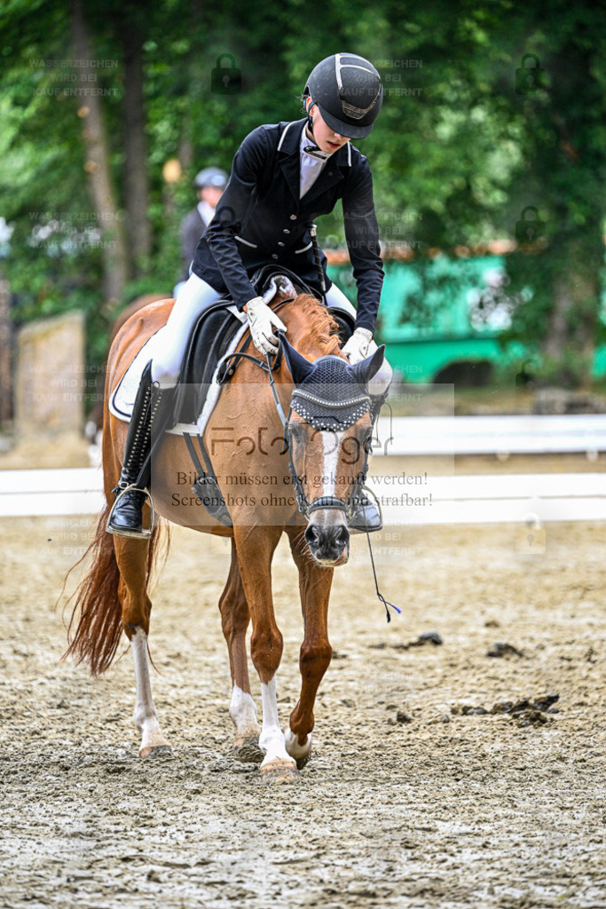 Bissendorfer Reitertage | Entdecke hochwertige Reitturnierfotos von Foto Oger. Professionell, emotional und authentisch – jetzt Lieblingsmomente im Shop bestellen. - Realisiert mit Pictrs.com