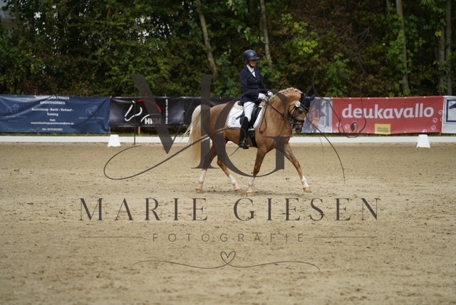 VAN01701 | Marie Giesen Fotografie - Realisiert mit Pictrs.com