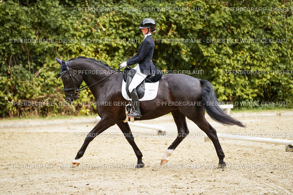 DSC00124 | Pferdegrafie