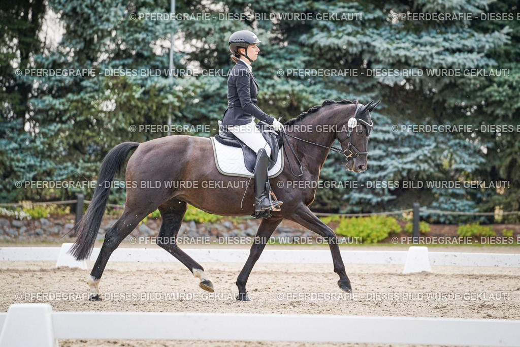 DSC00513 | Pferdegrafie