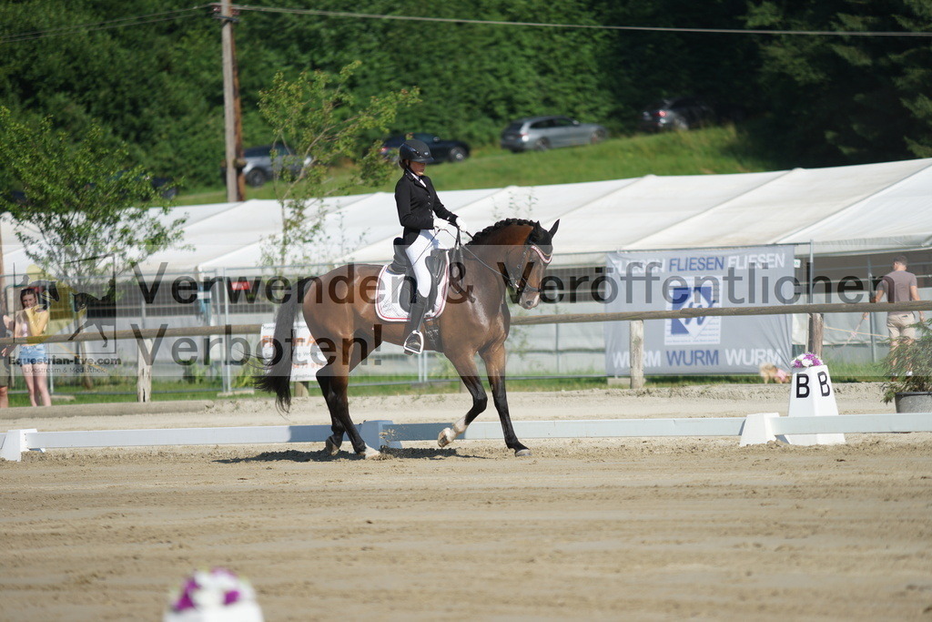 DSC03959 | equestrian-live-com