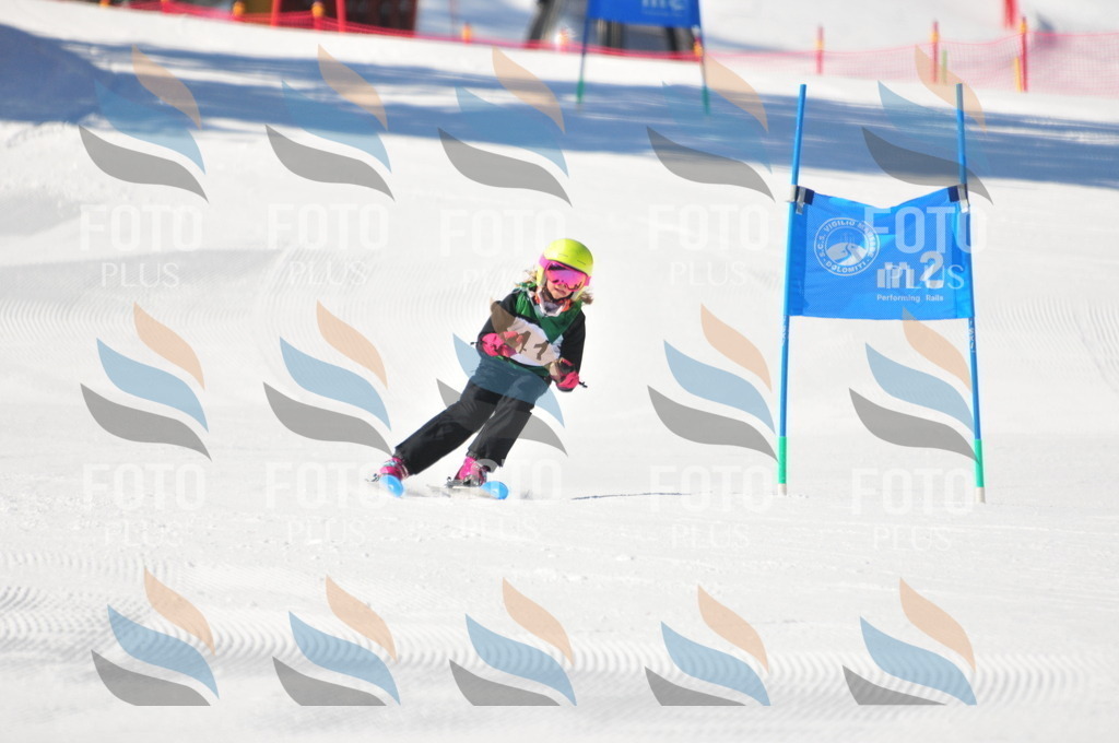 C2732 | holidayphoto