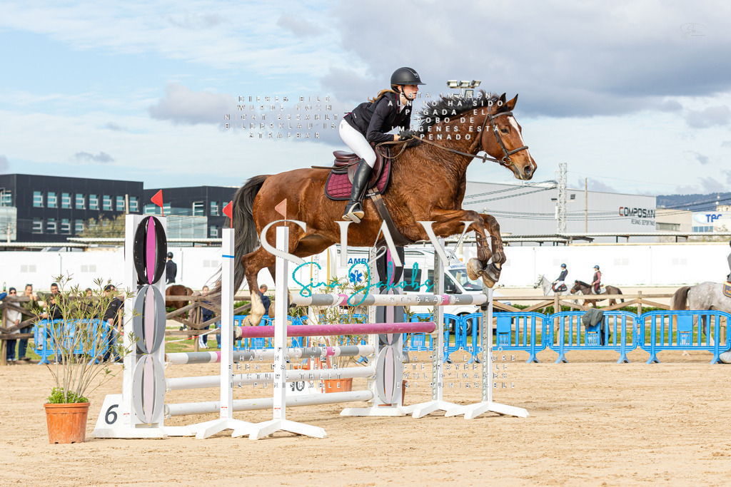 IMG_2480 | s-jay-photography - Realisiert mit Pictrs.com