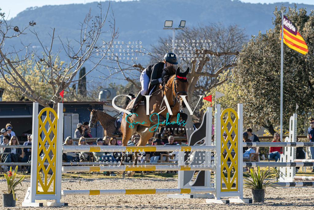 IMG_1778 | s-jay-photography - Realisiert mit Pictrs.com