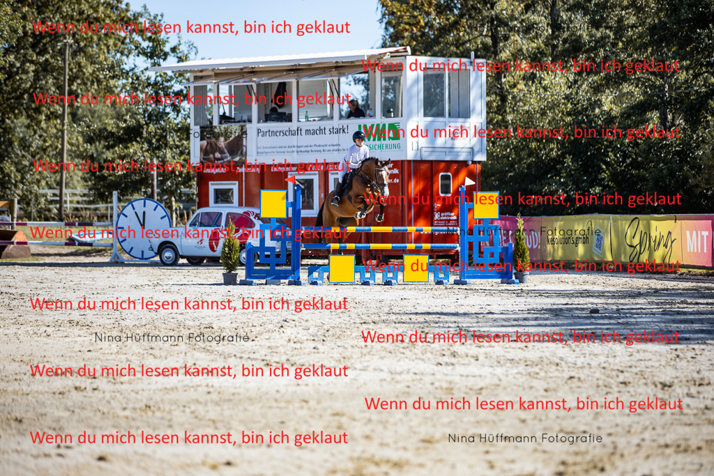 BK1A5720 | Turnierbilder Turnierfotos Nina Hüffmann Turnierfotografie Pferdefotografie Tierzeichnung Haustierzeichnung Pferdezeichnung Hundezeichnung Videograf  - Realisiert mit Pictrs.com