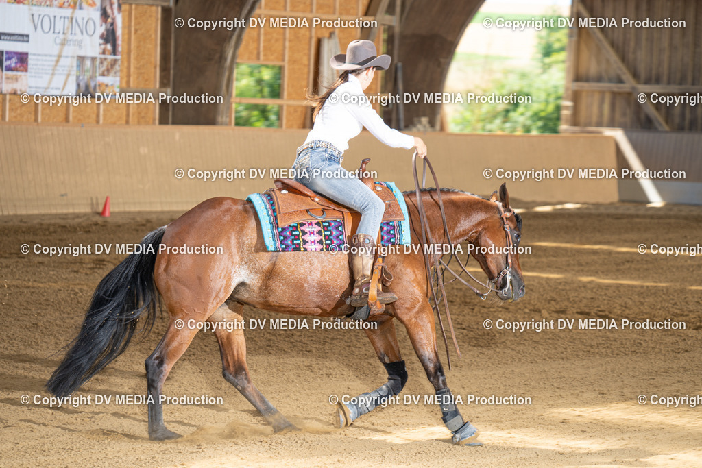 DSC00012-2 | dv-media-shop - Realisiert mit Pictrs.com