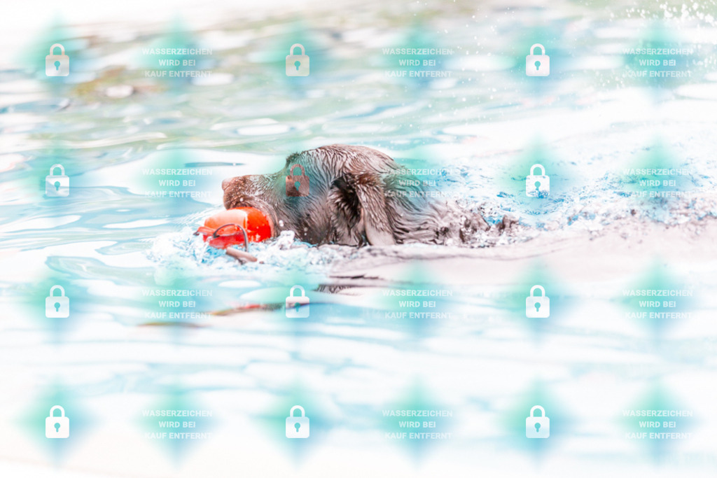 _HP_7278_1000o | HetPix, HetPix Fotodesign, Fotografie, Fotodesign, Webshop, Sportfotografie, Portraitfotografie, Onlineshop, Sportfotografie, Polch, Motorsportfotografie, Eventfotografie