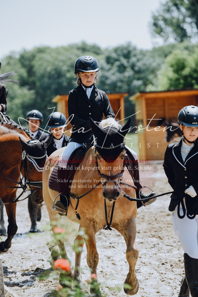 DSC_2281 | Pferde- und Turnierfotografie in Westsachsen. Pferdeportraits, Auftragszeichnungen und intuitive Kunst.