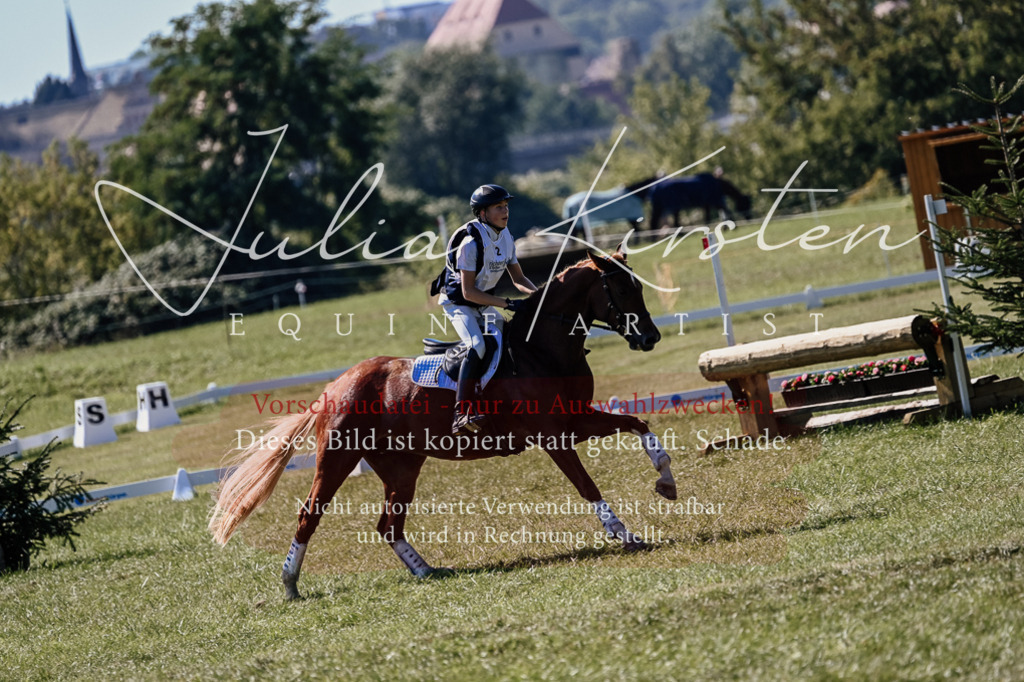 DSC_1342 | Pferde- und Turnierfotografie in Westsachsen. Pferdeportraits, Auftragszeichnungen und intuitive Kunst.