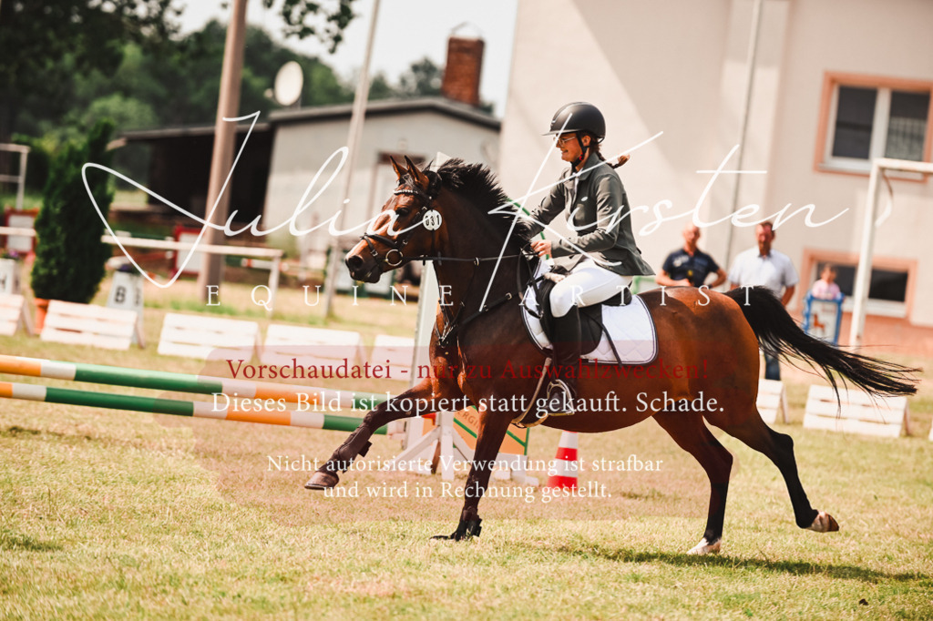 DSC_6917 | Pferde- und Turnierfotografie in Westsachsen. Pferdeportraits, Auftragszeichnungen und intuitive Kunst.