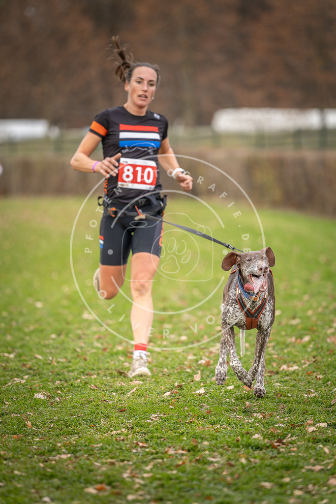 CaniXpix_DV3A6396 | Hundefotografie, Tierfotograf, Pfotenfotografie, Fotoshooting Hund, Hunde Portrait, Hundesport, Hundeportraits, Heideshooting, Hunde, Sportfotograf, Hundefotograf, Turnierhundsport, THS,  - Realisiert mit Pictrs.com