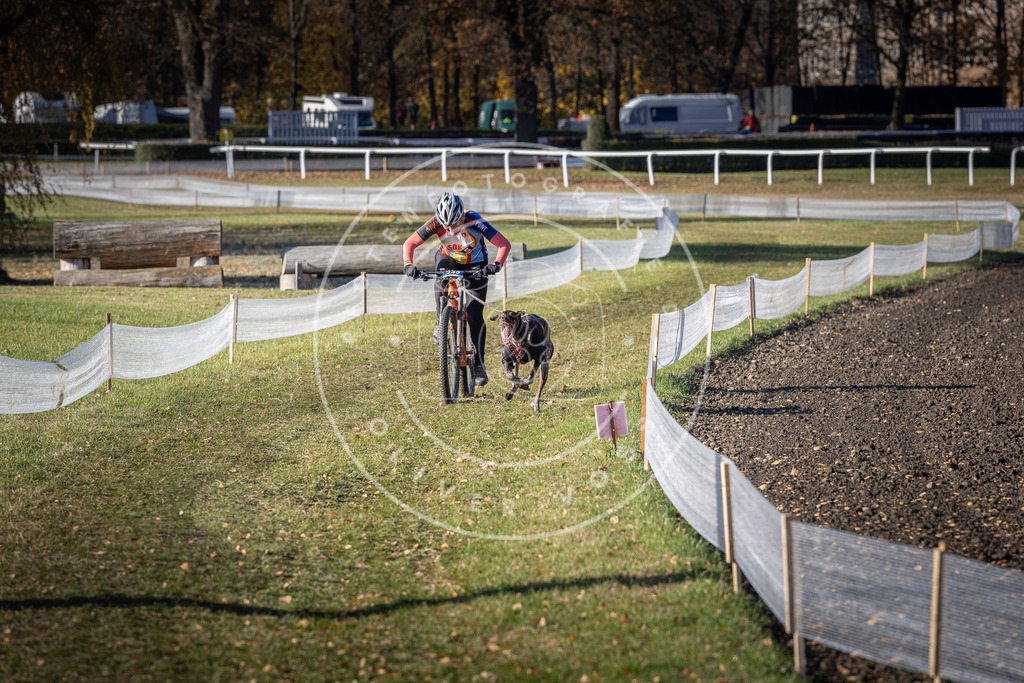 CaniXpix_DV3A4410 | Hundefotografie, Tierfotograf, Pfotenfotografie, Fotoshooting Hund, Hunde Portrait, Hundesport, Hundeportraits, Heideshooting, Hunde, Sportfotograf, Hundefotograf, Turnierhundsport, THS,  - Realisiert mit Pictrs.com