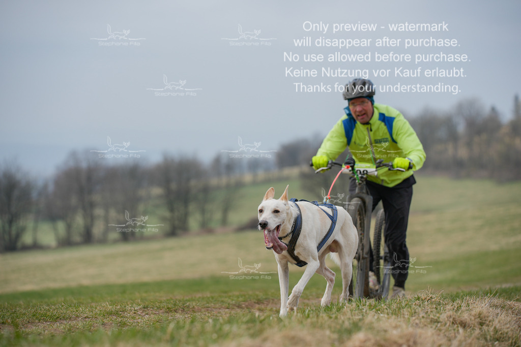 ScooterSA-214 | stephaniefillaphotographie - Realisiert mit Pictrs.com