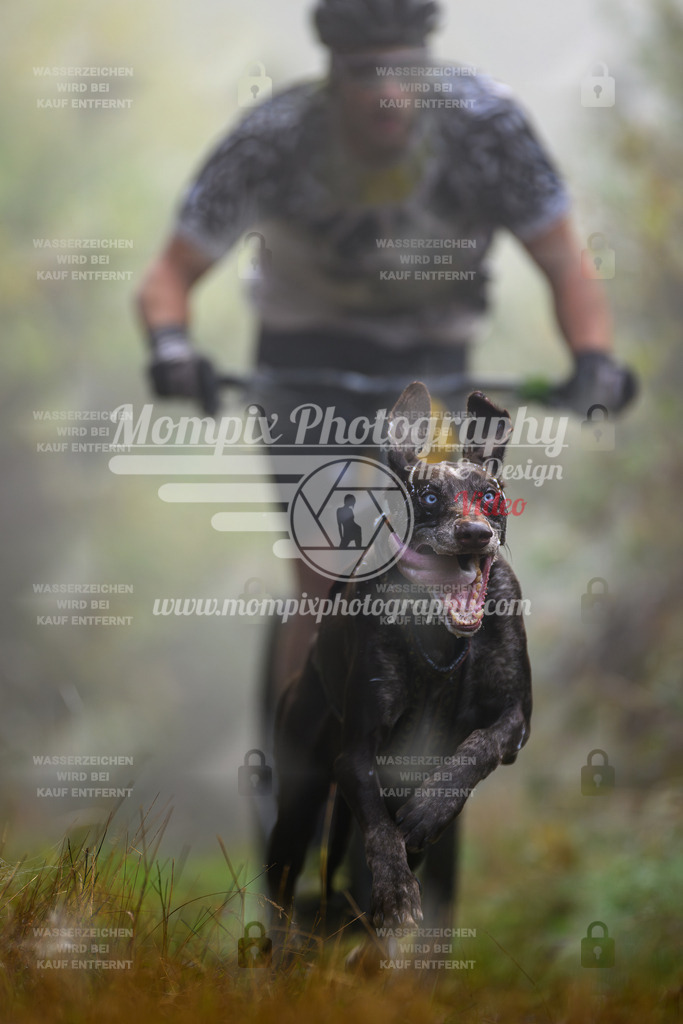 MompixPhotography_20TSB_E4_DS1-5-Print_1 | PayLife