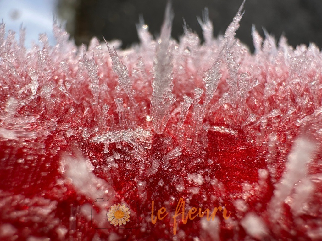 Eiskristalle | Dies ist der Shop von Florian Blum - le fleuri. Langenthal, Bern, SchweizSie können hier meine oder ihre eigenen Fotos als Fotoprodukte kaufen. Tassen, Schlüsselanhänger, Taschen etc. können Sie hier gestalten.  - Realisiert mit Pictrs.com