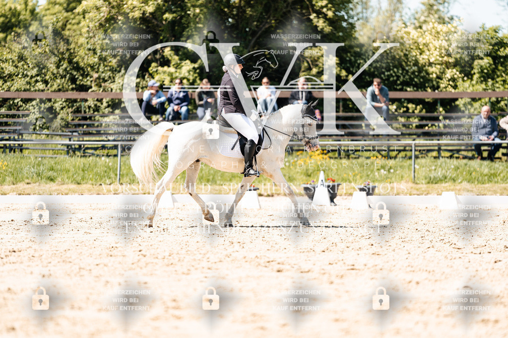 CK905573 | Turnierfotografie Pferdefotografie Trier Rheinland-Pfalz Pferdesport Reitsport Tierfotografie Sportfotografie Pferdevideo Pferdevideografie Equestrianvideography equestrianphotography  - Realisiert mit Pictrs.com