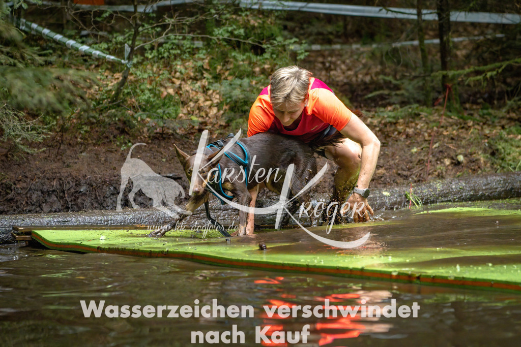 1539_ZZ91659-Bearbeitet | kk-dogfotos