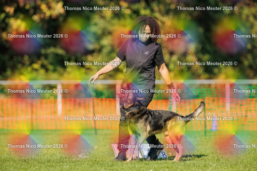Thomas_Nico_Meuter(C)_04. Oktober 2026_223A3352 | Bild von Thomas Nico Meuter - Realisiert mit Pictrs.com