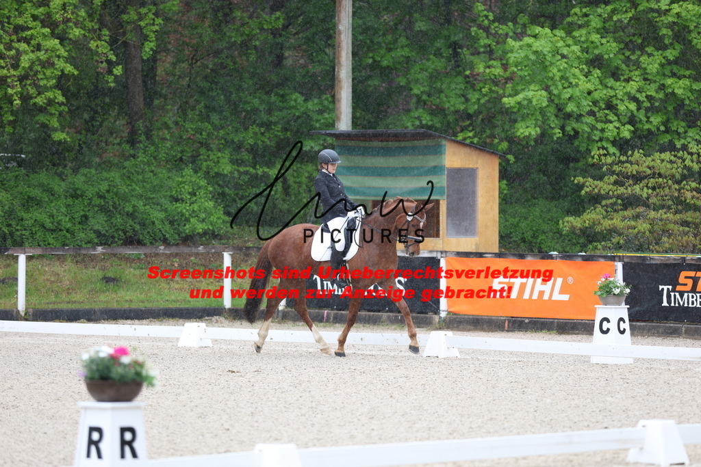 A40A7235 | lmwpictures - Realisiert mit Pictrs.com