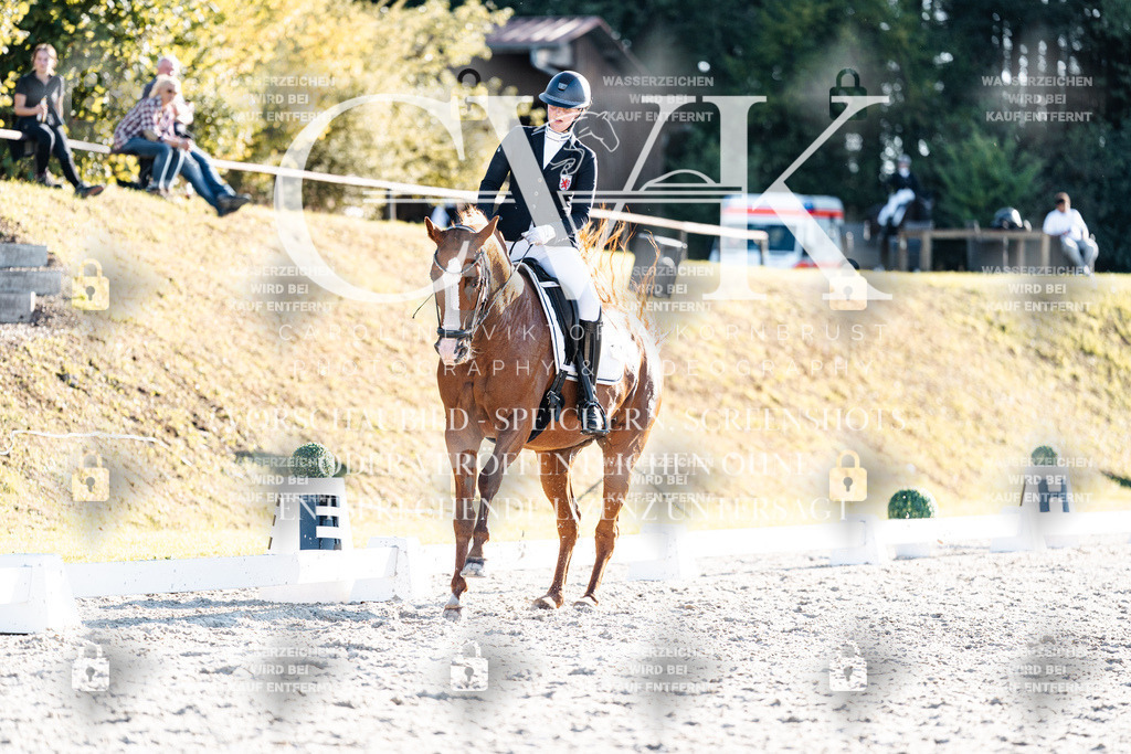 CK907002 | Turnierfotografie Pferdefotografie Trier Rheinland-Pfalz Pferdesport Reitsport Tierfotografie Sportfotografie Pferdevideo Pferdevideografie Equestrianvideography equestrianphotography  - Realisiert mit Pictrs.com